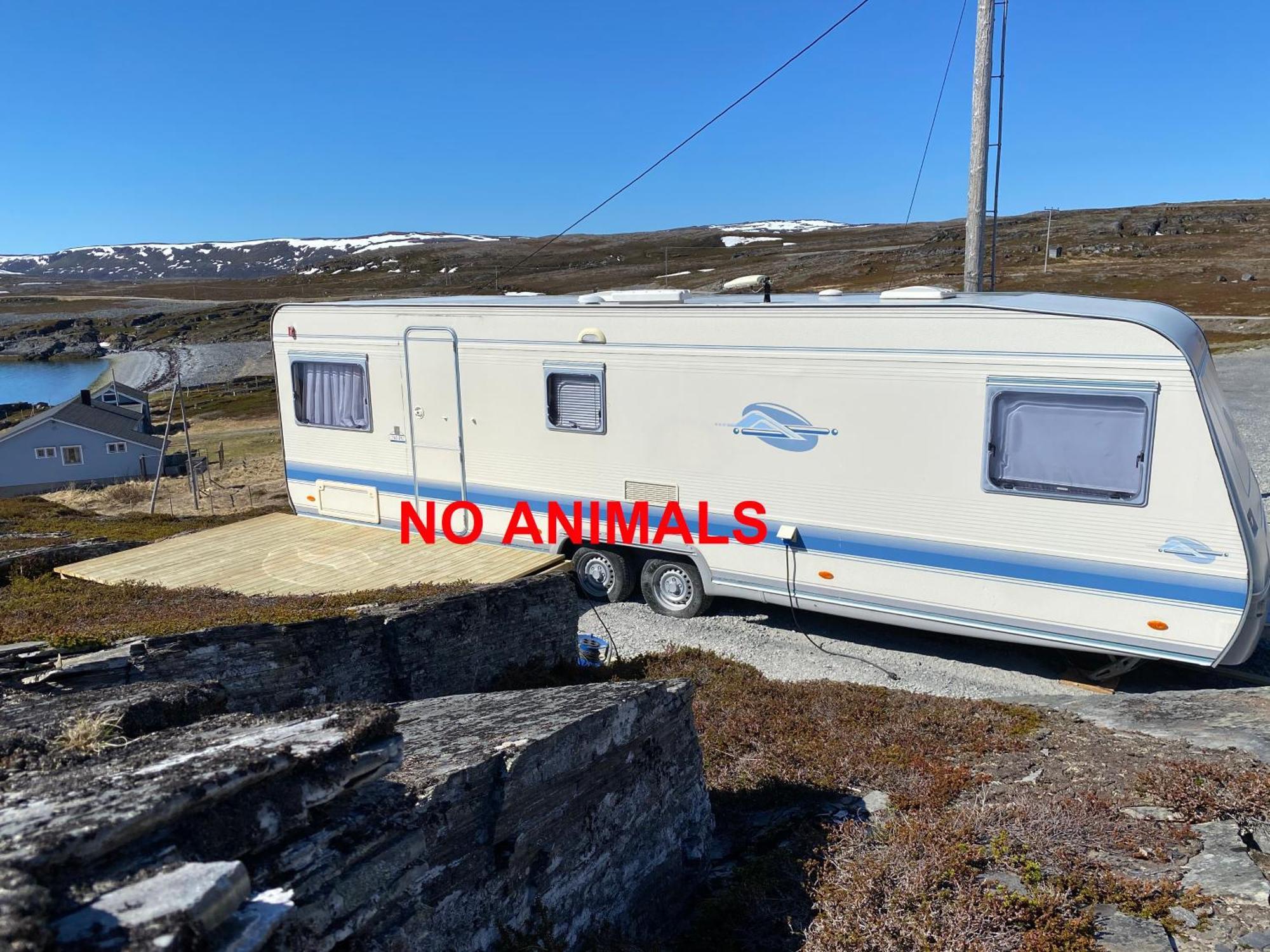 Repvag Overnatting Nordkapp الغرفة الصورة